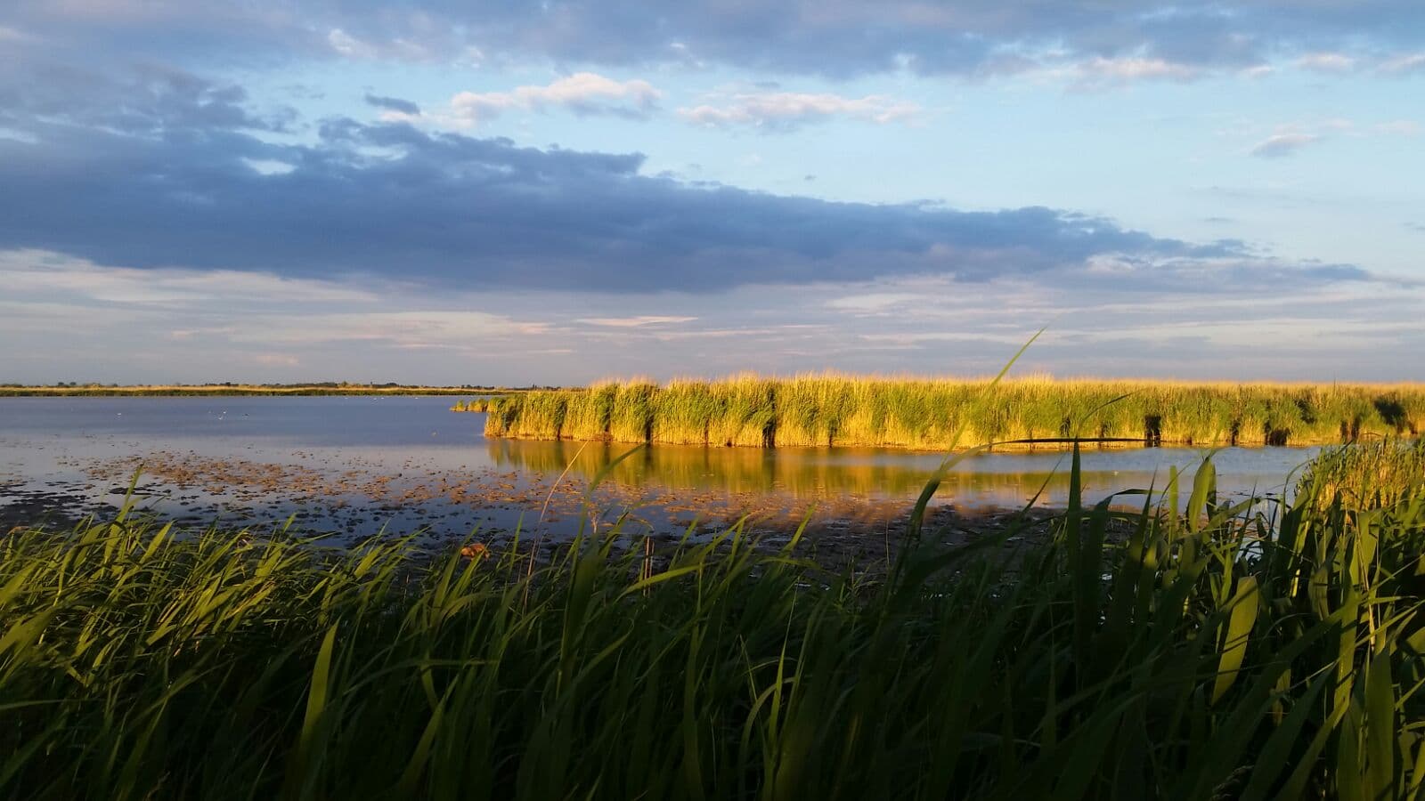 Übernachten am Neusiedler See und im Seewinkel: Unterkünfte für den Festivalsommer
