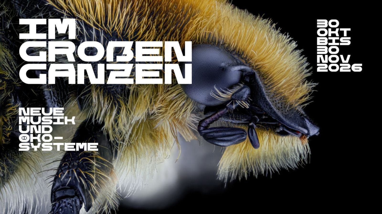 Wien Modern 2026: Neue Musik mit Donau, Insekten und Jelinek