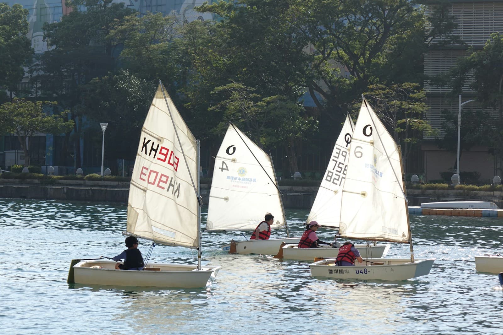 Segelboote im Hafenbecken