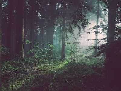 Aktiv-Kneipp-Gesund - WANDERN