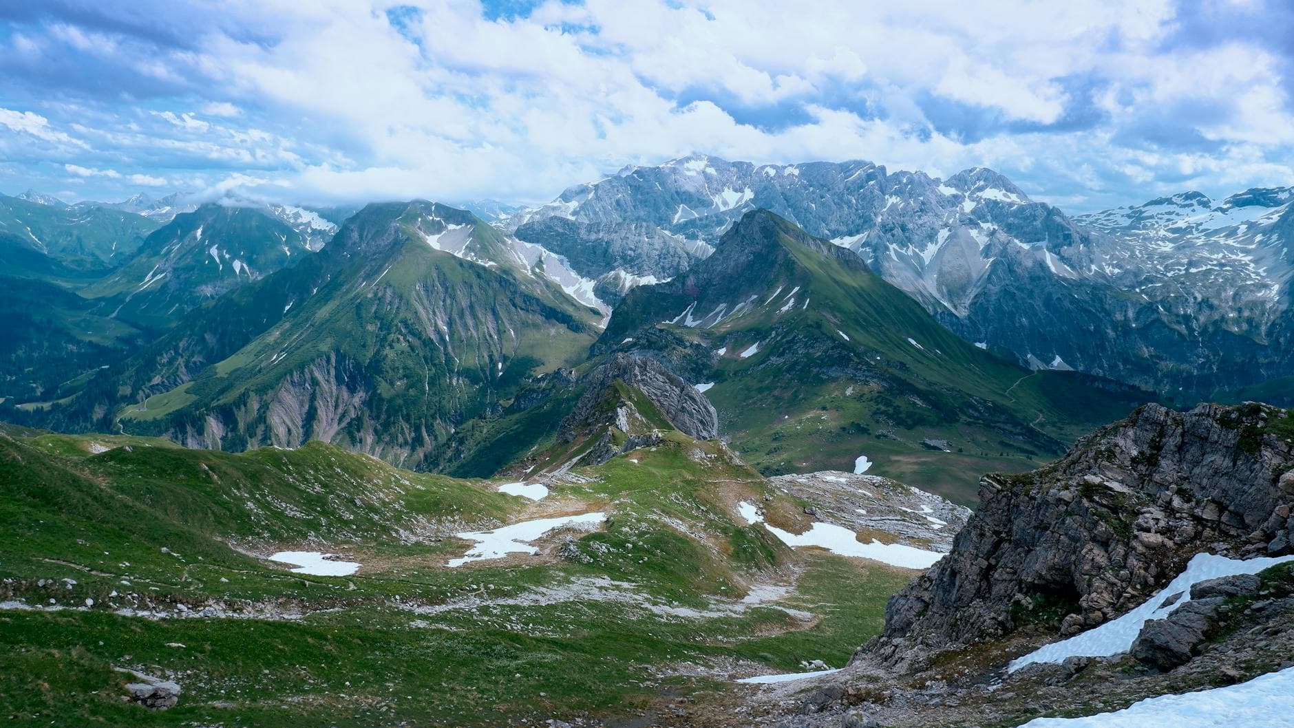 Öffentliche Moorführung im Naturpark
