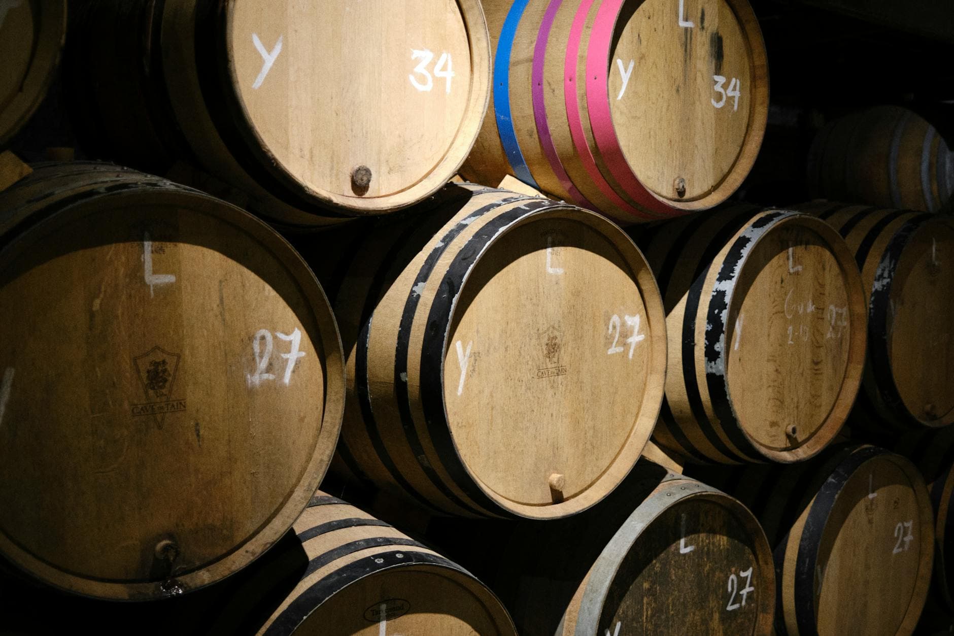 GenussFreitag - Weingut Sailer