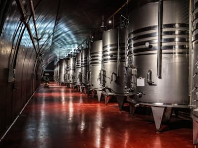 (W)einblicke im Winzerhof Pröstler