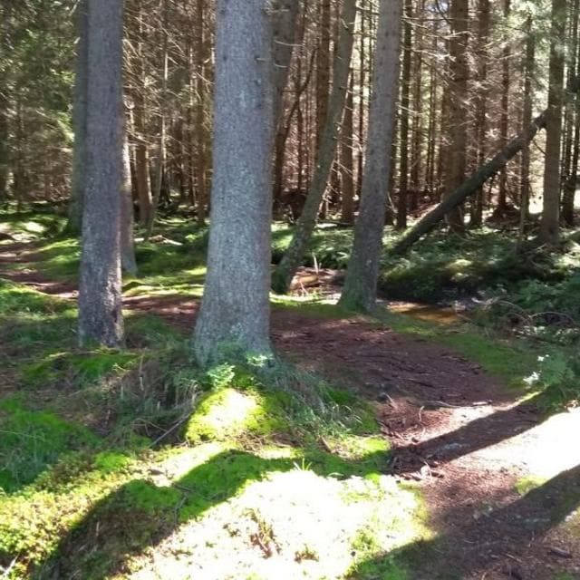 Wanderung
