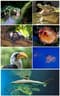 Aqua Terra Zoo