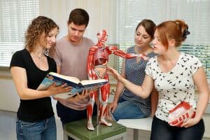 FH Gesundheitsberufe OÖ beim Gesundheitstag des Ordensklinikums Linz