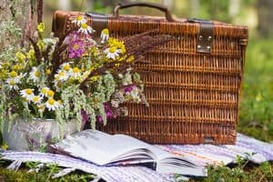 Kulturpicknick
