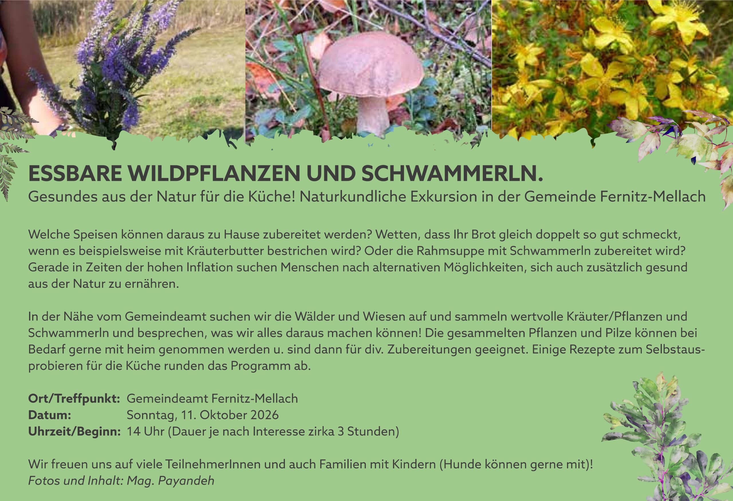 Auf Entdeckungstour: Essbare Wildpflanzen und Schwammerln in Fernitz-Mellach
