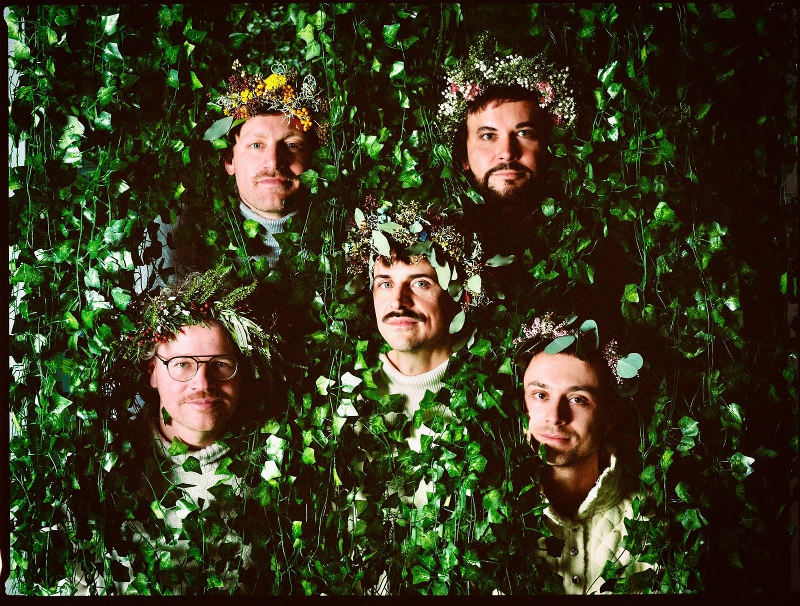 Konzert: GESANGSKAPELLE HERMANN | »Pflanzen«