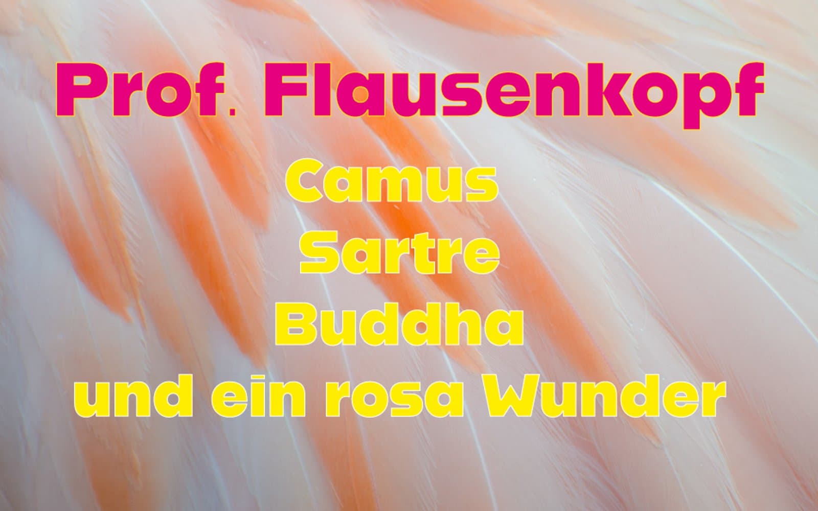 Prof. Flausenkopf: Sartre, Camus, Buddha und ein rosa Wunder