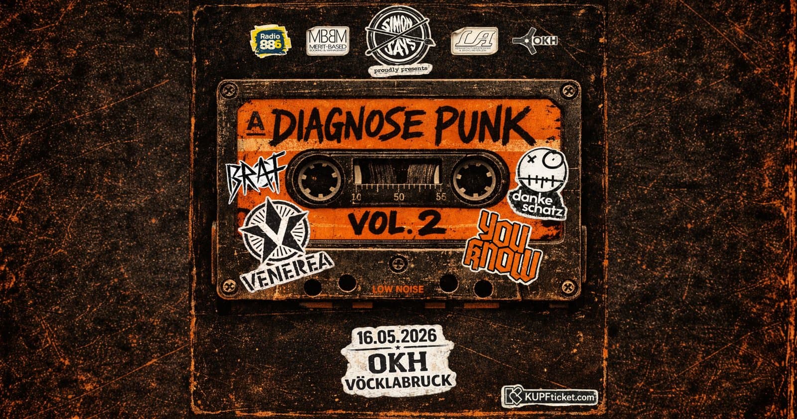 Diagnose Punk Vol.2