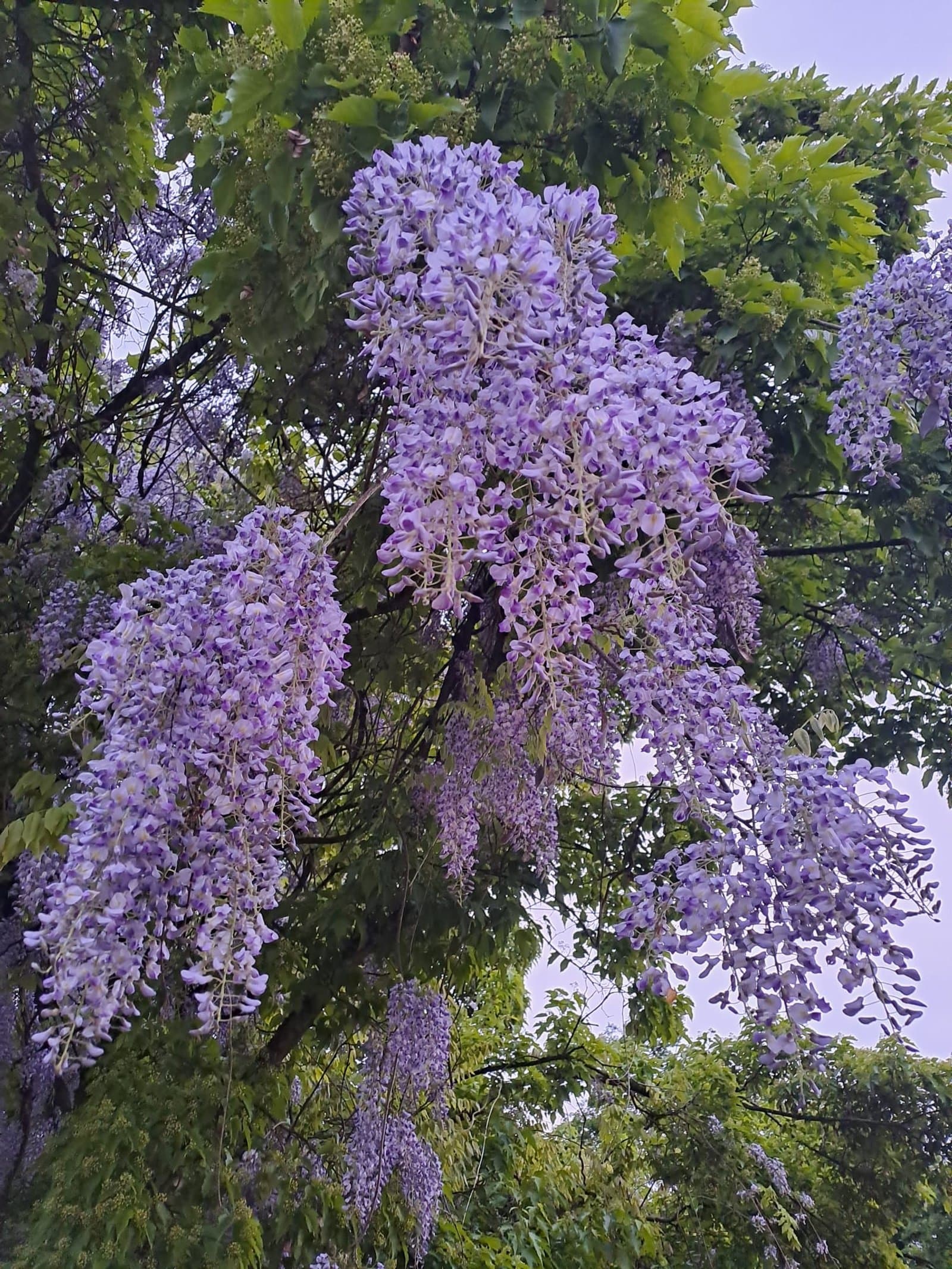 Schreibspaziergang - Nature Writing