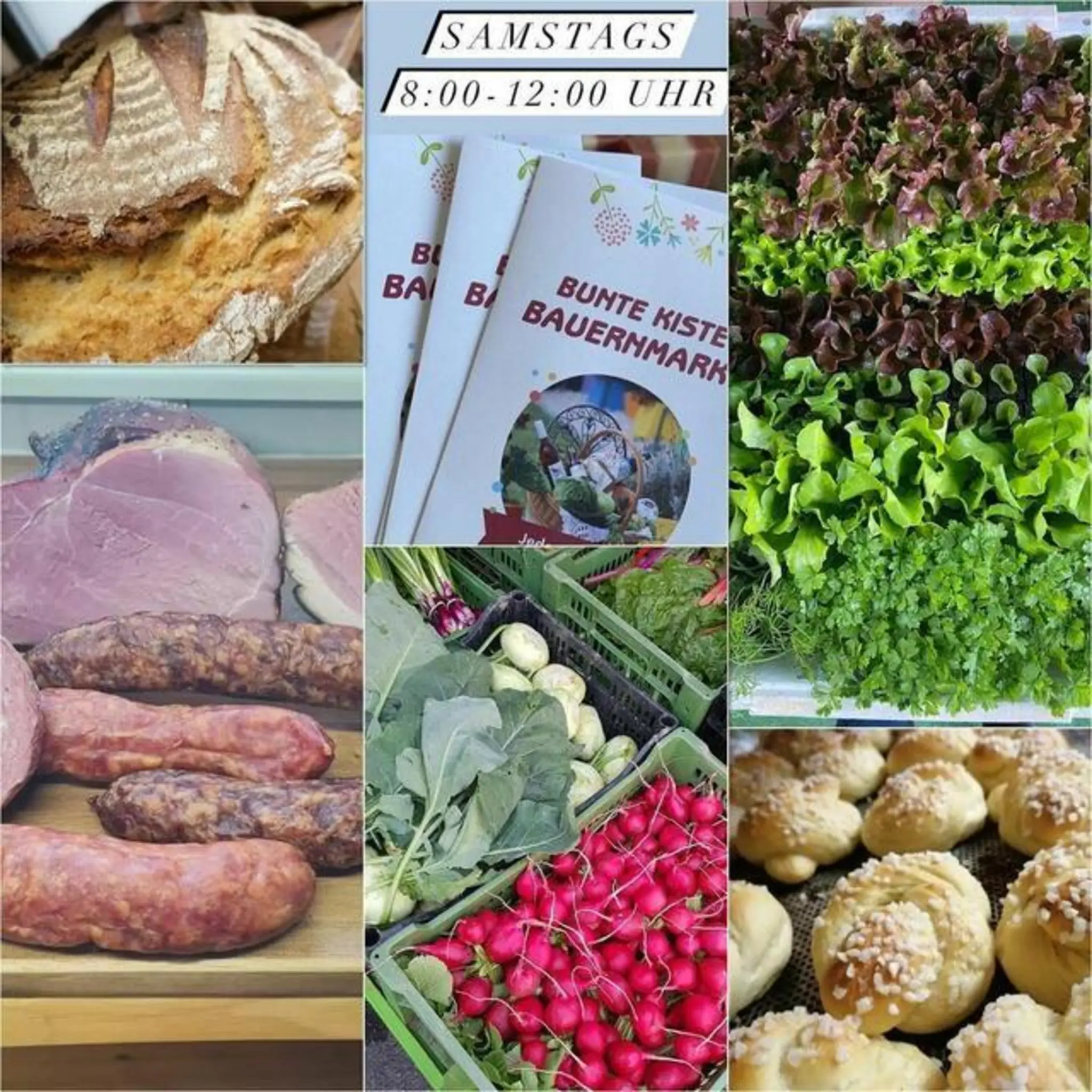 Bauernmarkt "Bunte Kiste" Neutillmitsch