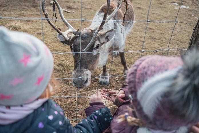 Advent im Tierpark