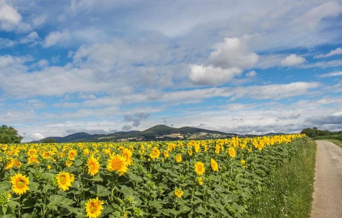 Familienwandertag  Bad Waltersdorf