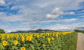Familienwandertag  Bad Waltersdorf