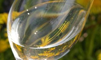 Die 100 Besten Weine in Fürstenfeld
