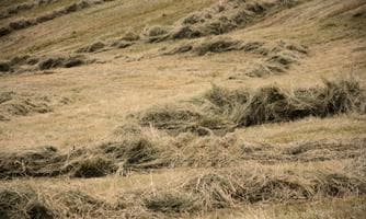Basteln mit Naturmaterialien - Heukörbe binden