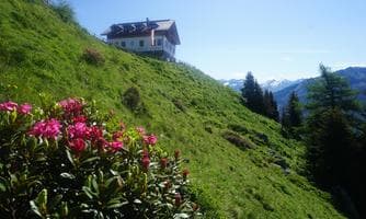 Aktionswoche: Wanderung zur Goglesalm