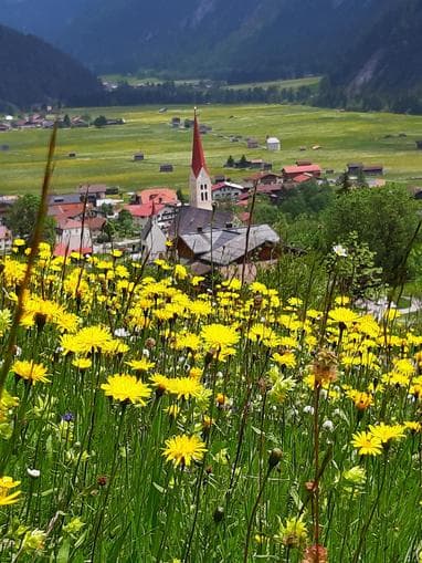Kräuterwanderung Holzgau - ab