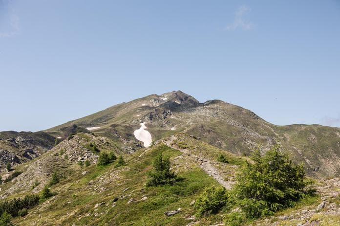 Almenbus Wanderung: von der Larcher Alm zur Venetalm