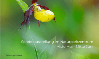 nderausstellung Orchideen