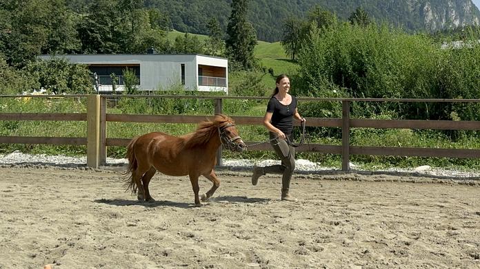 Geführter Pony Waldspaziergang
