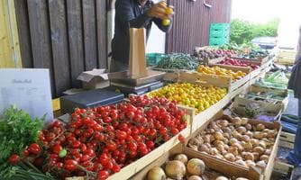 Markt der ERDE | SOMMERFREUDEN