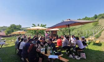 Wein Bergfest