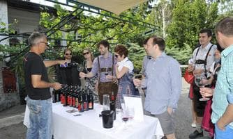 rotweinOpening Horitschon