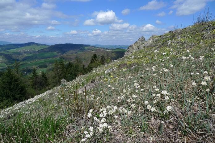 Felsenlandschaft mit Ausblick - Naturerlebnistage