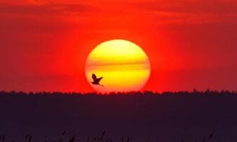 Wenn es Abend wird im Nationalpark- Exkursion