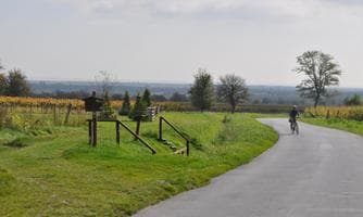 Wanderung mit unseren vierbeinigen Freunden