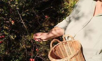 Natur-Apotheke