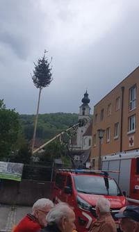 Maibaumkraxeln