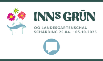 Der geordnete Wildwuchs