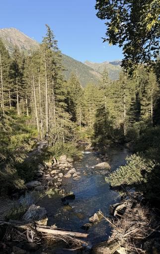Waldbaden, Achtsamkeit im Bergwald