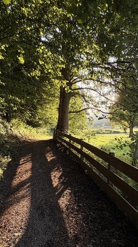 Waldbaden, Achtsamkeit im Bergwald