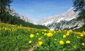 Geführte Wanderung: Ins Blumenparadies zum Issanger