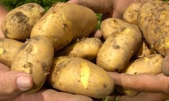 Schölfelerfestl der Feriwilligen Feuerwehr Wildermieming