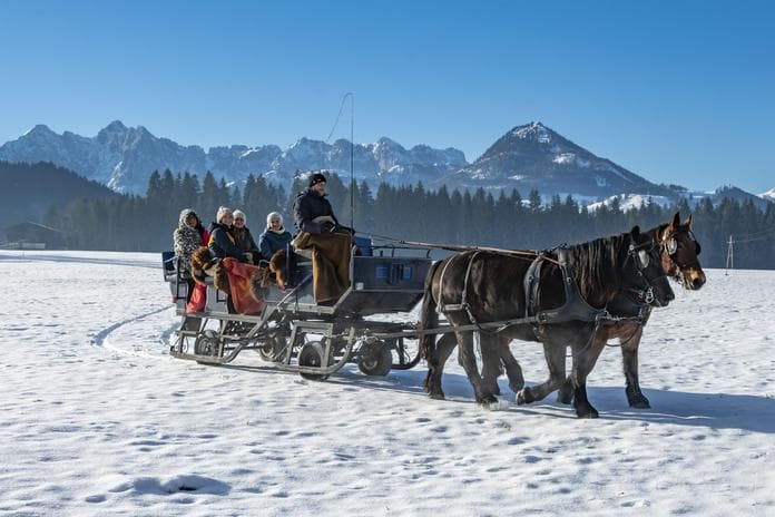 Mit Ross & Schnaps durchs Winterabenteuer– Kutschenfahrt, Brennerei & Lagerfeuer