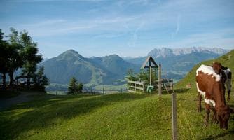 Wanderung des Monats - Eröffnungswanderung zum Taubensee**