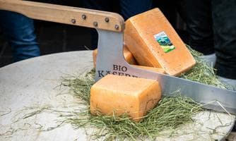 Kaiserwinkl Kasfest