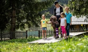 Trattlers Ponyfarm