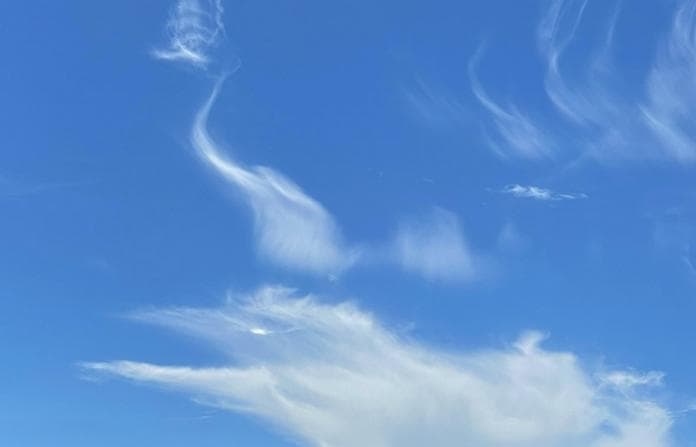 Qigong im Herbst