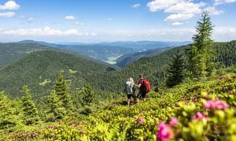 Wanderbus auf die Flattnitz