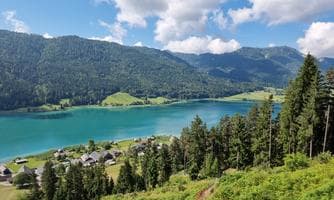 Naturpark-Erlebnis – „Wald der Zukunft“