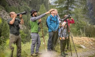 Wildtierbeobachtung entlang des Tauernhöhenweges