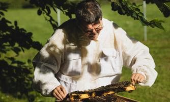 Die Gaben der Bienen