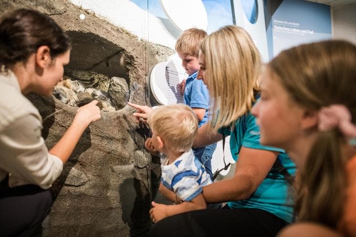 Kindergarten Forscherclub: Tiere im Nationalpark